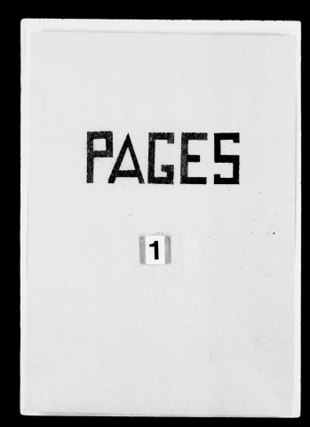 Notification par Nicolas Audouart, écolâtre de Rennes, protonotaire du Saint-Siège, scriptor et abreviator des lettres apostoliques, à Augustin Grimaldi, élu de Grasse, d'une bulle de Jules II, dont il est juge-exécuteur, par laquelle ledit Pape informe Louis Grimaldi, prévôt de l'église de Nice, qu'il a, sur sa résignation, confié en commende ladite prévôté de Nice à Augustin Grimaldi , en compensation de quoi ledit Pape fait audit Louis une pension viagère de 43 ducats d'or de la Chambre, payable chaque an à Noël à Nice, par ledit Augustin, y consentant (Rome, 13 septembre 1505), avec mandat d'assurer l'exécution des présentes. Rome, 8 octobre 1505.