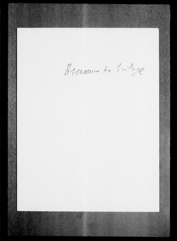 Montélimar. Offices :Lieutenant particulier, 1699-1744 .assesseur du baillage, 1698-1769 .notaires, 1714-1770 . huissiers, 1719-1742 . châtelain de la ville, s.d. (XVIIIe siècle) . capitaine des chasses, 1731.